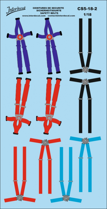 Safety belts 2 1/18 Waterslidedecals 166x86mm INTERDECAL